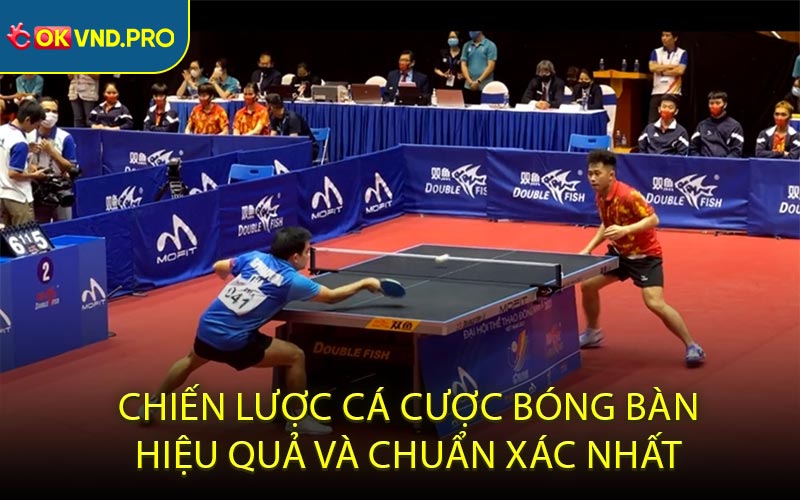 Chiến lược cá cược bóng bàn hiệu quả và chuẩn xác nhất