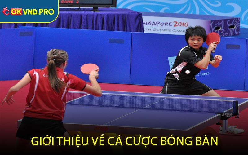 Giới thiệu về cá cược bóng bàn